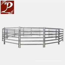 Australia Standard Round Pipe Steel Cattle Yard Panels